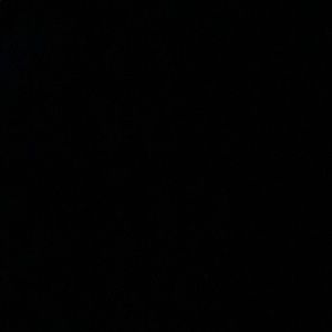 Meet your Posher, Bryanna